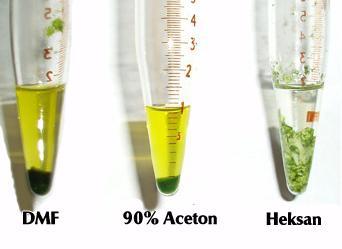 17 Metody ekstrakcji oleju z glonów Ekstrakcja rozpuszczalnikami organicznymi Stosowane rozpuszczalniki organiczne: - heksan