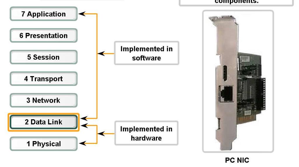 Data Link Layer Accessing the Media Describe the role the Data