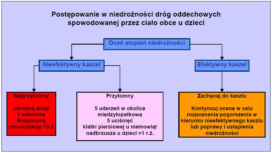 ALżORYTM W NIEDRO NO CI