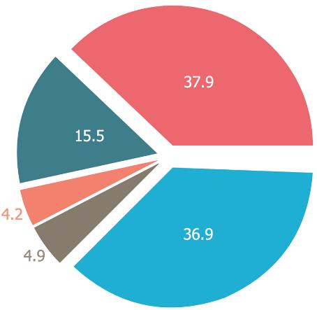 0% Ocena stanu obecnego Wizja: system zaprojektowany od