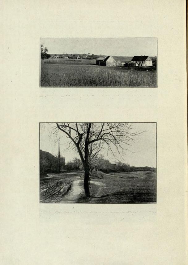 Ryc. 10. Miękowo, pow. Poznań. W głębi wieś, na pierwszym planie zagrody rozproszone. Miękowo, distr. Poznań. L'habitat concentré au fond, les habitations dispersées au premier plan. Fot. M. Kiełczewska Ryc.