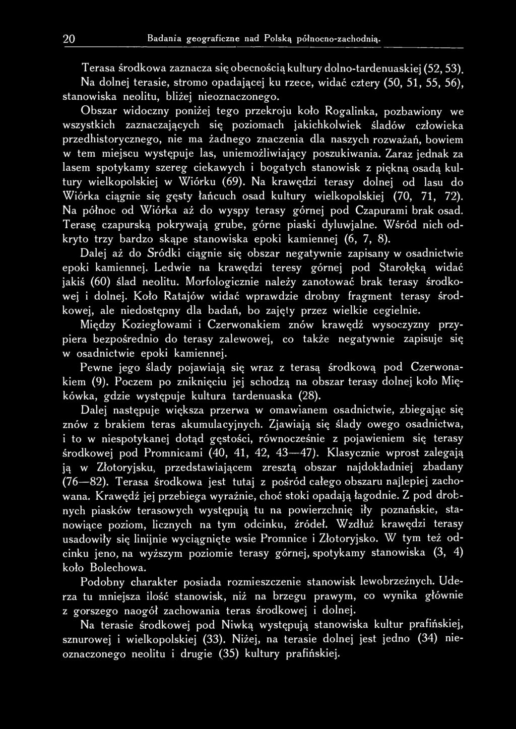 Obszar widoczny poniżej tego przekroju koło Rogalinka, pozbawiony we wszystkich zaznaczających się poziomach jakichkolwiek śladów człowieka przedhistorycznego, nie ma żadnego znaczenia dla naszych