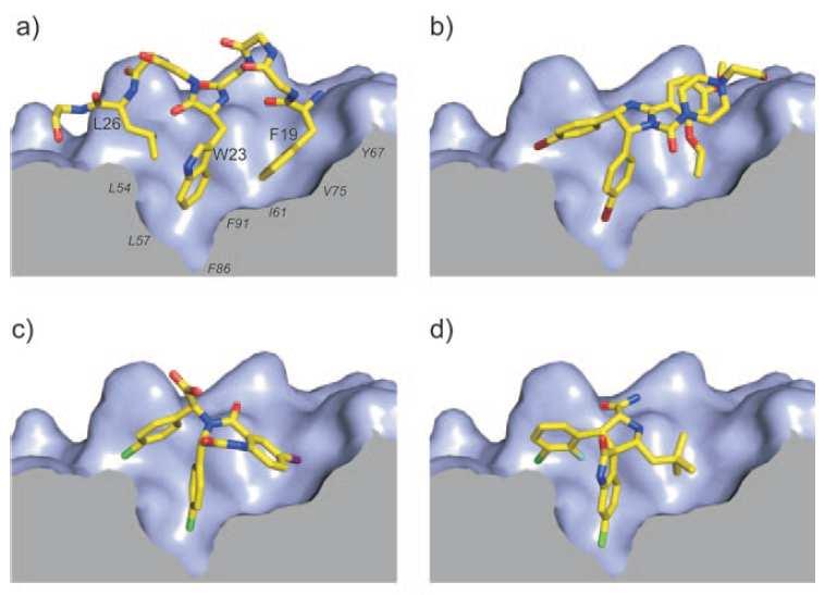 p53-mdm2 Struktury