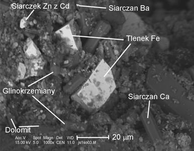 wodorotlenki Fe, węglany Pb, węglany Zn, siarczany Ba, krzemiany Zn, tlenki Mn, siarczki Pb, Zn, Fe, minerały akcesoryczne (fosforany ZRz, cyrkon, tlenki Ti).
