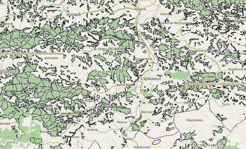 Mapa 9. Tereny leśne i zadrzewione na terenie gminy Ciężkowice Źródło: Bank danych o lasach IV.10