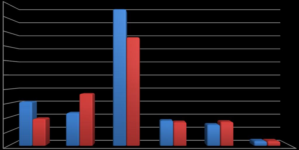 11 Zamet Industry S.A. skonsolidowane przychody wg segmentów 2013 r /dane w tys.