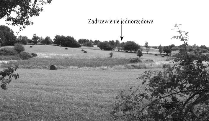 4 Dudzińska A., Szpakowska B., 2008. Ocena walorów krajobrazowych okolicy Spyczynej Góry. Nauka Przyr. Technol.