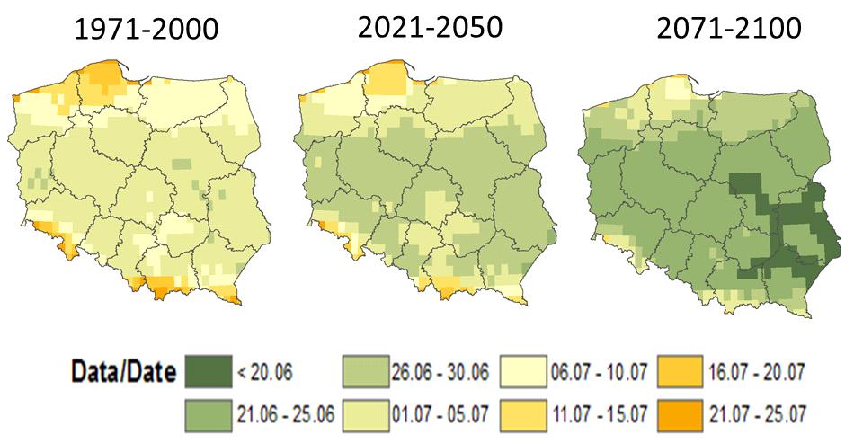 11 Wpływ zmian klimatu na rolnictwo 177 Data Rys. 11.4. Data dojrzałości pszenicy ozimej w Polsce (w oparciu o: Kozyra, 2013).