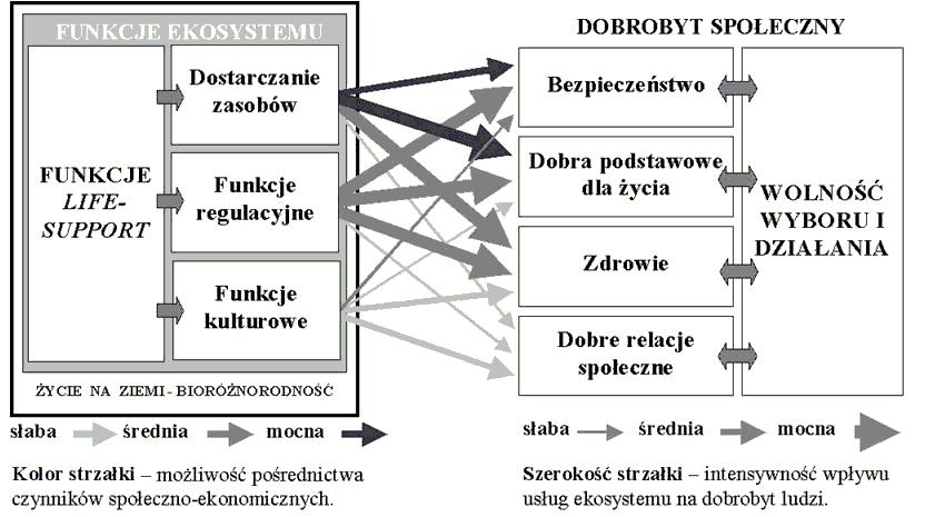 USŁUGI ŚRODOWISKA I ICH WPŁYW NA DOBROBYT Podstawa traktowanie środowiska (przyrody), jako kapitału, czyli majątku, który może dostarczyć jego właścicielowi korzyści w tym przypadku tzw.