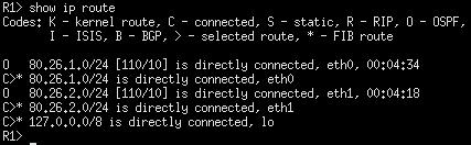 Wskazane sieci będą uwzględniane w całkowitej topologii sieci, wyznaczanej przez protokół OSPF. Rys. 5.