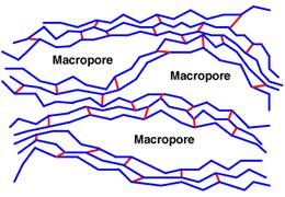 usieciowana kopolimeru i zawartości grup hydrofilowych Makroporowate średnica porów do 150 nm, co umożliwia wymianę makroanionów organicznych; charakteryzują się znacznie większą powierzchnią