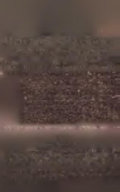 22 r. L. 1.