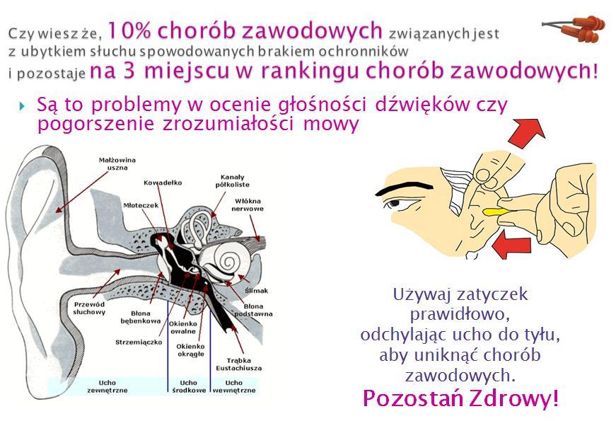 Miejsce Pracy Zrozumiałe i dostosowane do indywidualnych