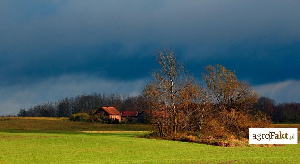 .pl https://www..pl Obecnie rząd nie pracuje nad ustawą dotyczącą reprywatyzacji informuje Rafał Bochenek, rzecznik prasowy rządu.