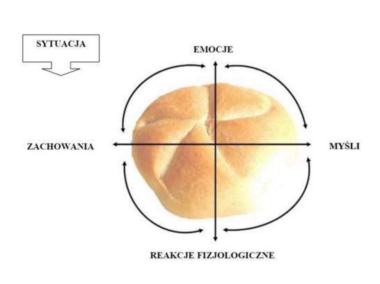 Cztery obszary stresu Myśli Uczucia Ciało Zachowanie Źródło:https://www.google.pl/url?