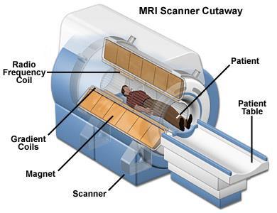 skaner MRI budowa skanera MRI cewka RF