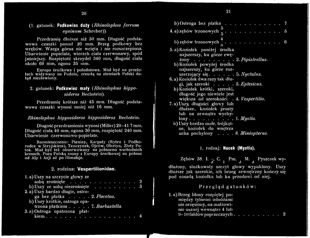 Długość ciała 40 mm, ogona 30 mm, rozpiętość 240 mm. Ubarwienie czerwonawo-popielate. Rozmieszczenie: Pieniny, Karpaty (Rytro i Podhorodce w Stryjskiem), Tenczynek, Ojców, Olsztyn, Złoty Potok.