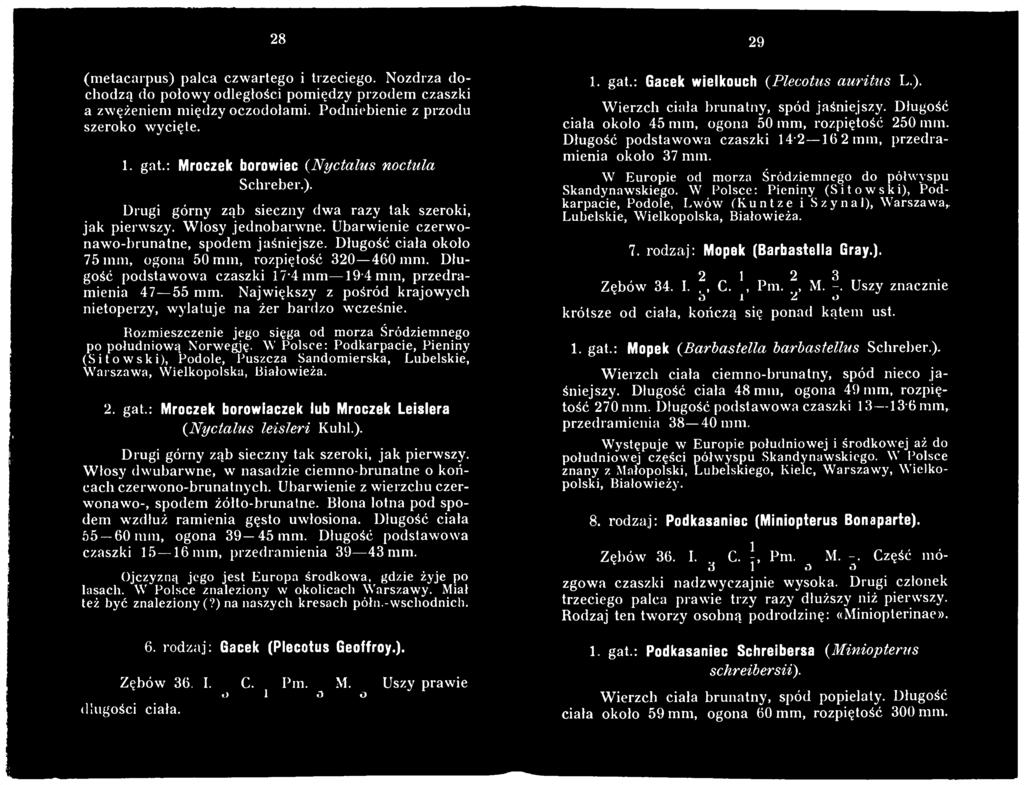 W Polsce: Podkarpacie, Pieniny (Sitowski), Podole, Puszcza Sandomierska, Lubelskie, W arszawa, Wielkopolska, Białowieża. 2. gat.: Mroczek borowiaczek lub Mroczek Leislera (.Nyctalus leisleri Kuhl.). Drugi górny ząb sieczny tak szeroki, jak pierwszy.