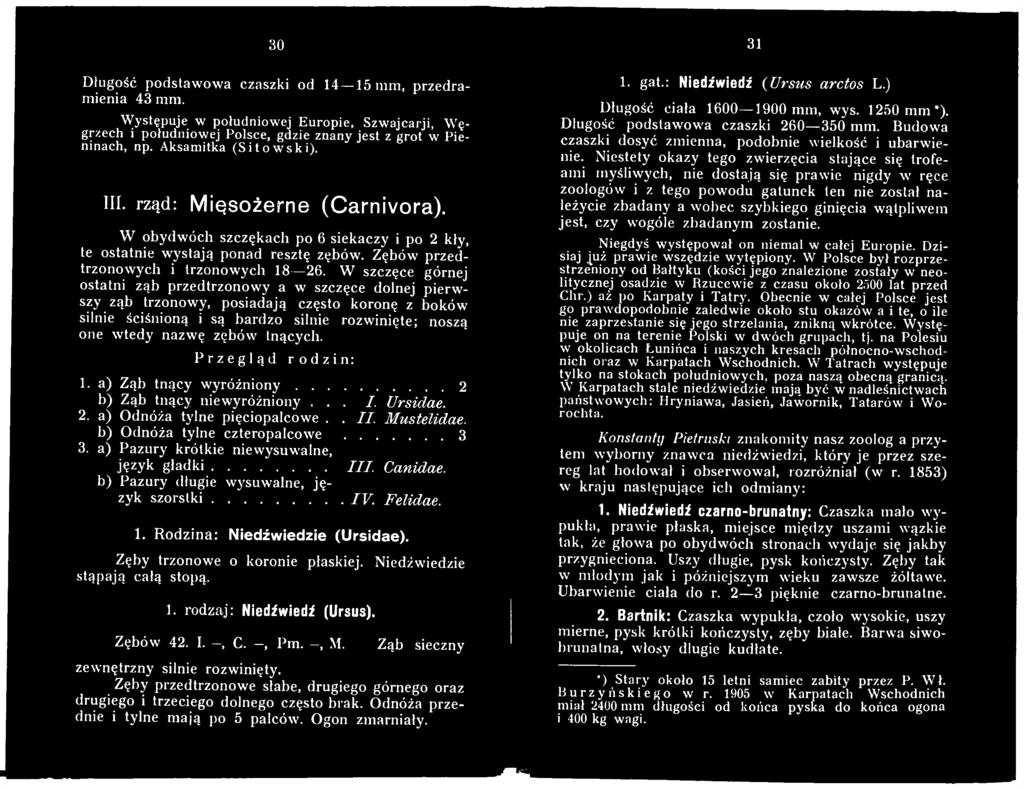 a) Pazury krótkie niewysuwalne, język gładki... III. Canidae. b) Pazury długie W3'suwalne, język szorstki...iv. Felidae. 1. Rodzina: Niedźwiedzie (Ursidae). Zęby trzonowe o koronie płaskiej.