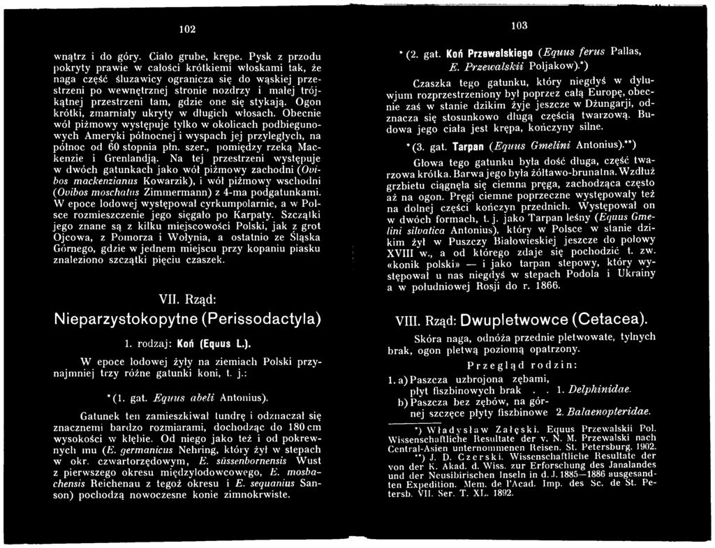 Na tej przestrzeni występuje w dwóch gatunkach jako wół piżmowy zachodni {Ovibos mackenzianus Kowarzik), i wół piżmowy wschodni (Ovibos moschatus Zimmermann) z 4-ma podgatunkami.