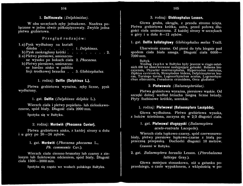 Płetwa grzbietowa niska, z każdej strony u dołu i u góry po 20 24 zębów. 1. gat. Morświń {Phocaena phocaena L., Ph. communis Cuv.).