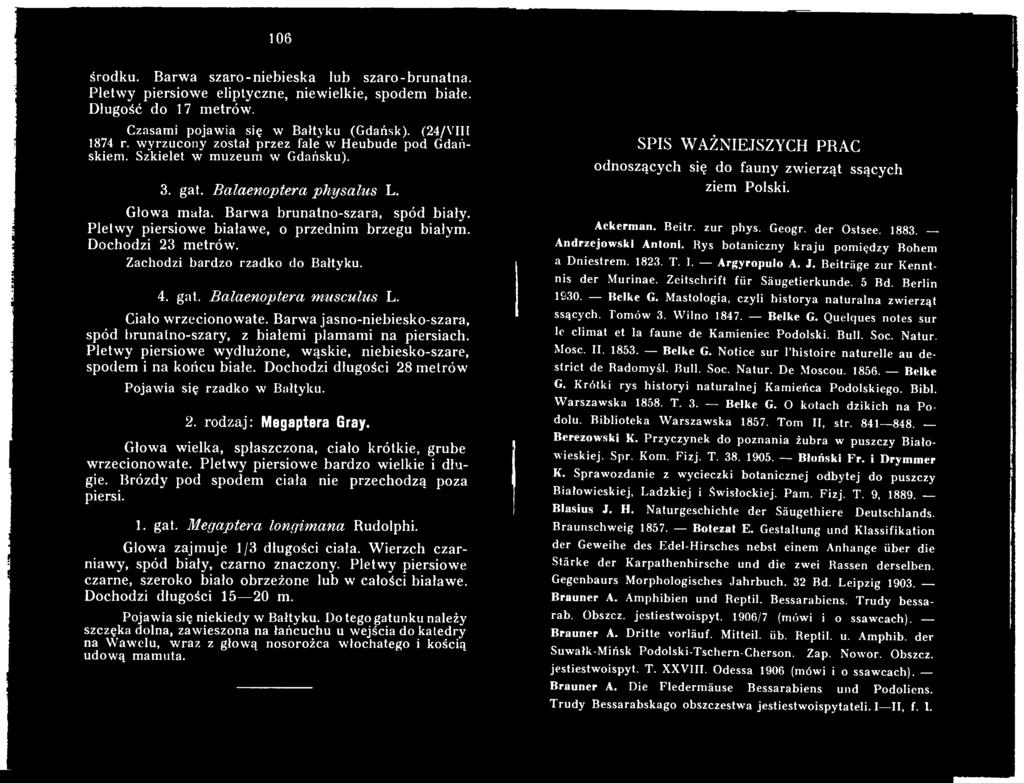 Dochodzi długości 28 metrów Pojawia się rzadko w Bałtyku. 2. rodzaj: Megaptera Gray. Głowa wielka, spłaszczona, ciało krótkie, grube wrzecionowate. Płetwy piersiowe bardzo wielkie i długie.