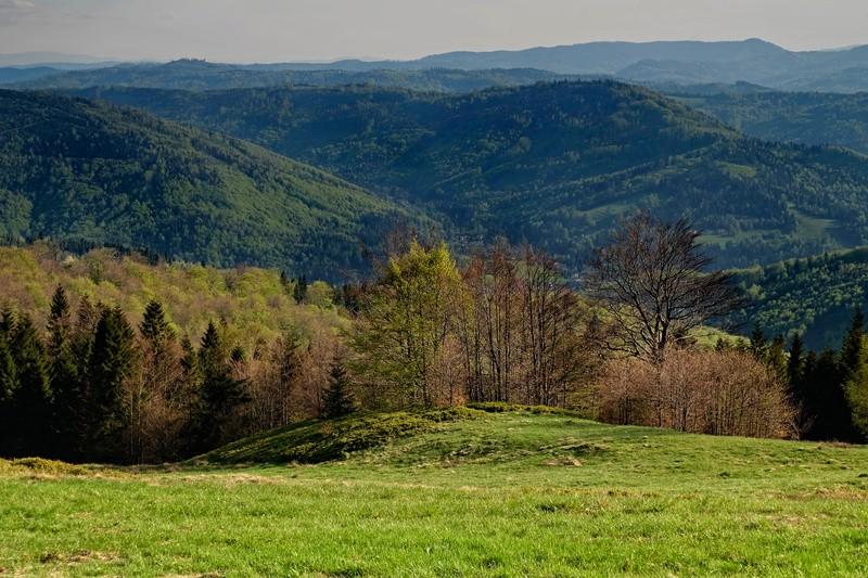 W dalekim planie widnieje dominujący wysokością czeski szczyt Lysa Hora (1323 m ) - najwyższy szczyt Beskidu