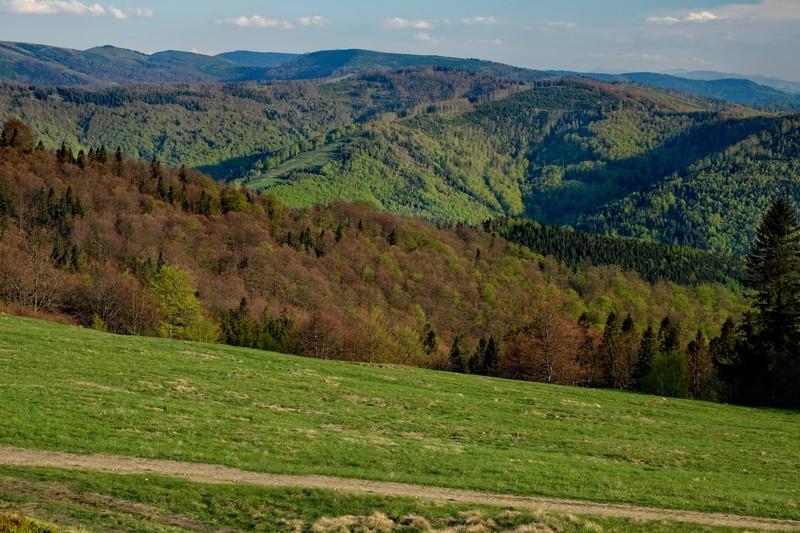 Nieco bardziej na południe można dostrzec nakładające się na siebie szczyty Beskidu Żywieckiego, w tym szczytów