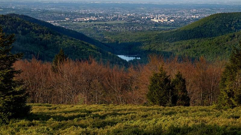 z którego przyszliśmy, by po kilku metrach odbić w lewo. Szlak na tym odcinku prowadzi drogą, (jedną z kilku) dojazdową do schroniska.