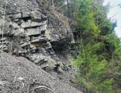 Geomorphologic and tectonic features of Bukowińska Grapa: A outcrop of the Chochołowskie beds from the eastern side; that