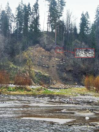 The geotourist potential of the Bialka River valley (in the Podhale Basin) a project of a geotourist trail In this place two cross faults are exposed (Fig. 3E). L. Mastella et al.