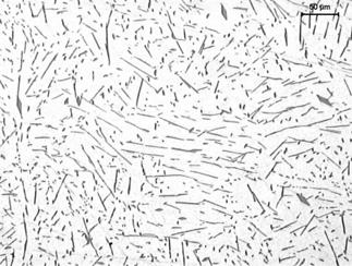 8Fe - v = 6,94 10 4 cm/s (longitudinal microsection, transverse microsection), g, h) Al-1.