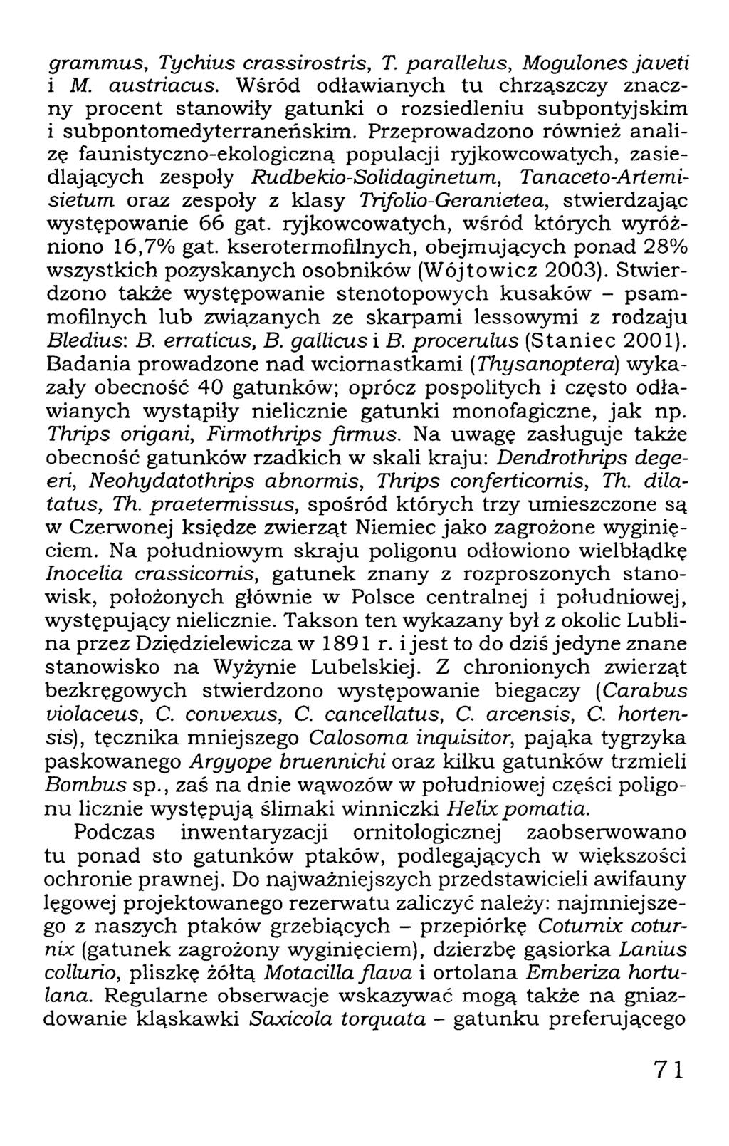 grammus, Tychius crassirostris, T. parallelus, Mogulones javeti i M. austńacus.