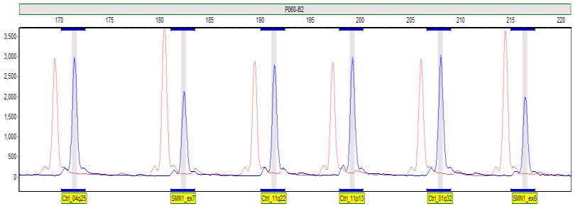 Real-Time PCR liczba kopii