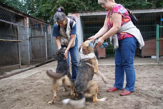 Wszystko zależy od tego, czy będziemy go właściwie pielęgnować, i co najważniejsze, bardzo kochać. Zachowania i przyzwyczajenia są jeszcze ważniejsze od wyglądu.