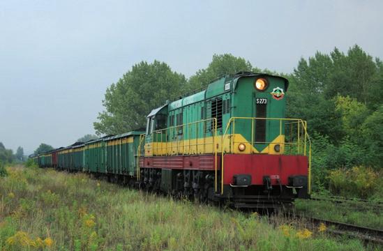 o. Wola), a także PTKiGK Spółka. z o.o. Zabrze. Lokomotywy serii S-200 dzięki swojej dużej mocy często oprócz pracy manewrowej zatrudniane są do prowadzenia pociągów z węglem. W 1996 r.