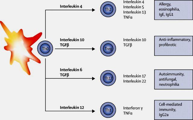 Cytokiny w rozwoju