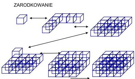 Zarodkowanie Zbyt małe zarodki zanikają. Te które osiągną krytyczną wielkośd ulegają wzrostowi. Energia swobodna kryształu tworzącego się np.