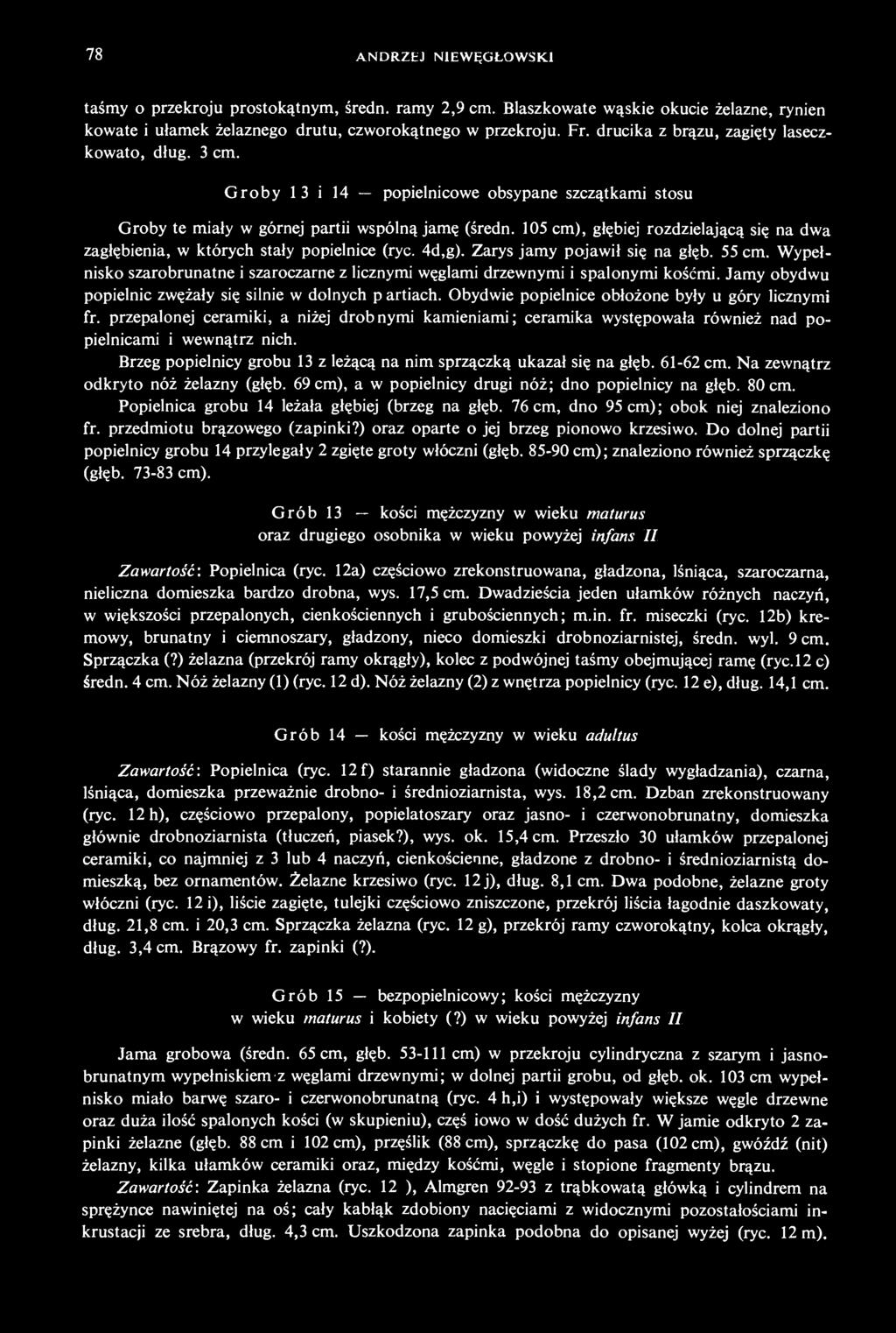 105 cm), głębiej rozdzielającą się na dwa zagłębienia, w których stały popielnice (ryc. 4 d, g). Zarys jamy pojawił się na głęb. 55 cm.