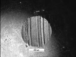 Photos of the ball surface wear test lubricated oil-based lubricants with different