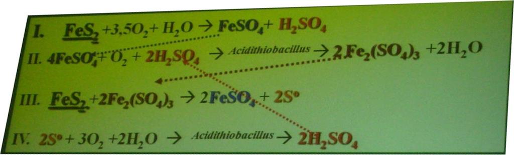 powierzchni minerału gromadzi się siarka i siarczki, które ulegają działaniu mikroorganizmów. Schemat utleniania pirytu przez bakterie z rodzaju Acidithiobacillus: Reakcja: I.