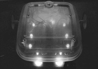 ROZDZIAŁ 10. DIODY ŚWIECĄCE (LED) Rozświetlamy drogę Robot Kanapka jarzy się aż jedenastoma różnymi diodami świecącymi (patrz rysunek 10.18).