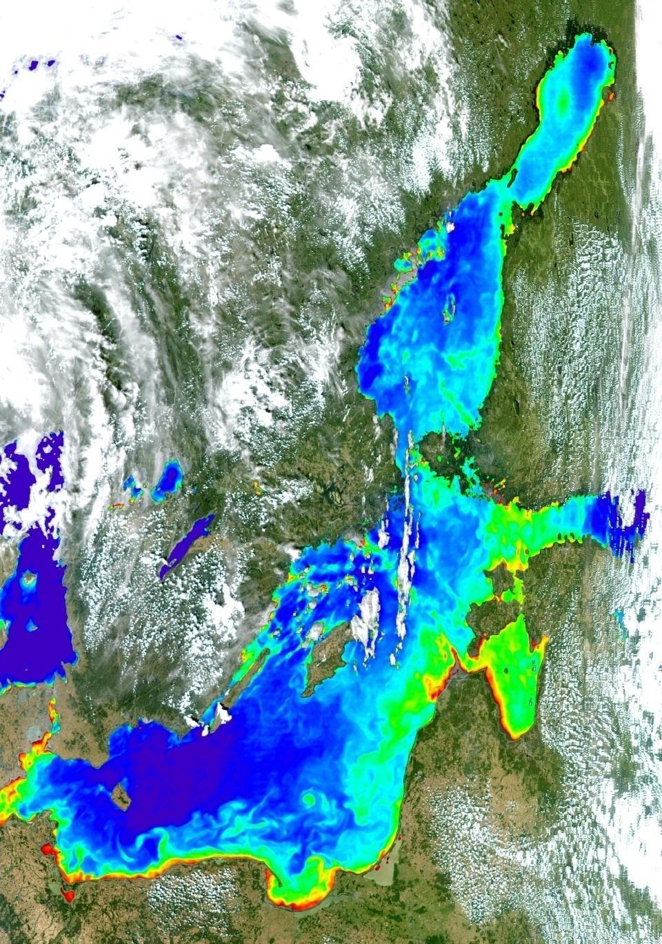 mg/m 3 0,01 0,10 1,00 10,00 50,00 Morze Bałtyckie - zdjęcie satelitarne: koncentracja chlorofilu a w przypowierzchniowej