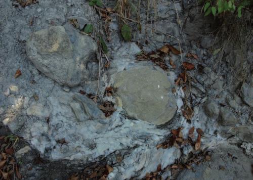 Wybrane aspekty systemu naftowego a nowe spojrzenie na geologię