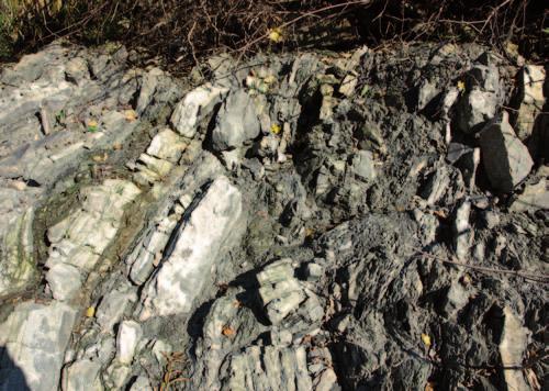 Wybrane aspekty systemu naftowego a nowe spojrzenie na geologię Karpat Fot.