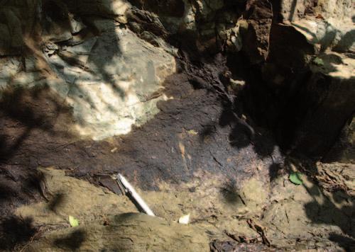 Wybrane aspekty systemu naftowego a nowe spojrzenie na geologię