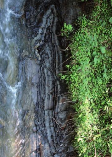 Wybrane aspekty systemu naftowego a nowe spojrzenie na geologię Karpat Fot. 15.