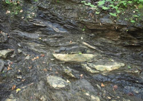 Wybrane aspekty systemu naftowego a nowe spojrzenie na geologię Karpat