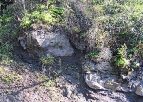 Wybrane aspekty systemu naftowego a nowe spojrzenie na geologię Karpat Fot. 31.