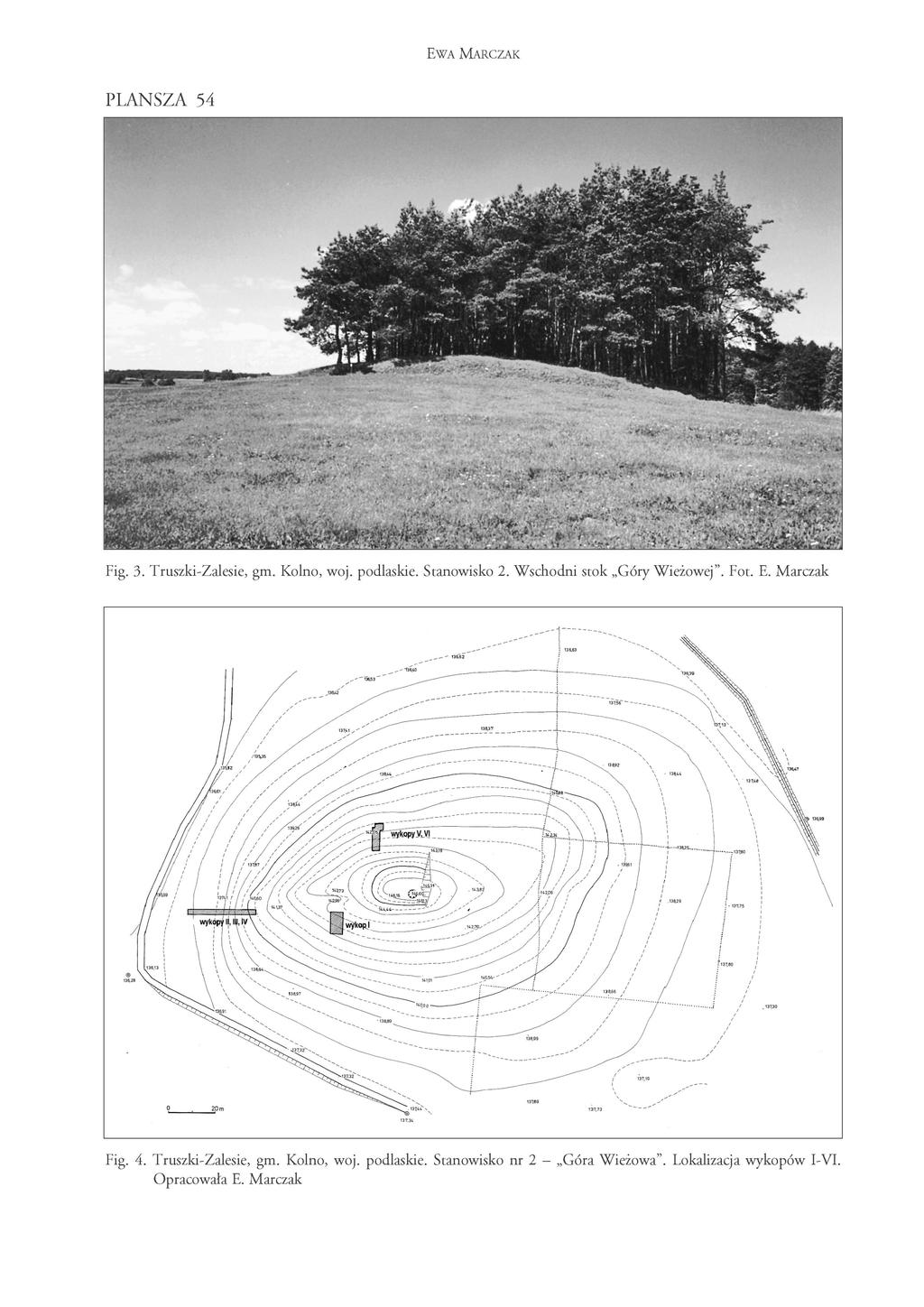 EWA MARCZAK PLANSZA 53 Fig. 3. Truszki-Zalesie, gm. Kolno, woj. podlaskie. Stanowisko 2. Wschodni stok Góry Wieżowej". Fot. E.